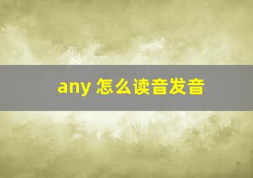 any 怎么读音发音